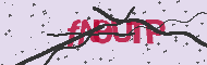 Código CAPTCHA